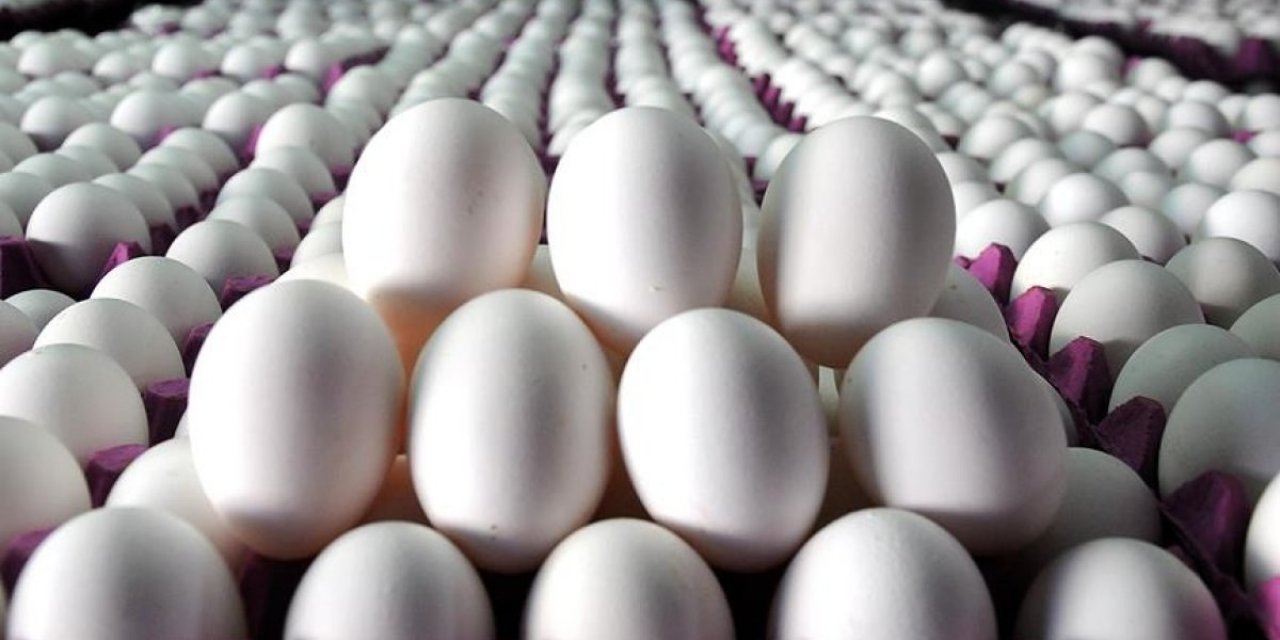 Yumurta Alacaklara Müjde: O Markette Dev İndirim Başladı: Yetişen Alır