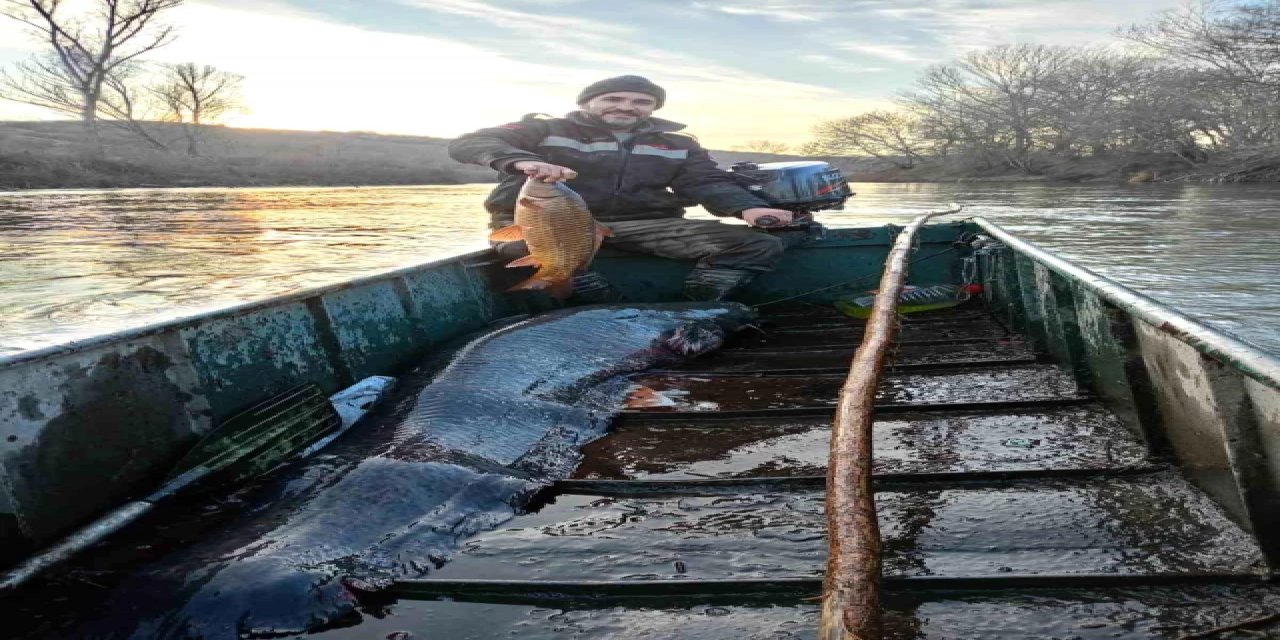 Balıkçılar Nehirde 2 metrelik dev yayın balığı yakalandı