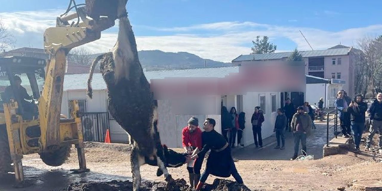 "Müdür giderse tosun keseceğiz" dediler ve yaptılar