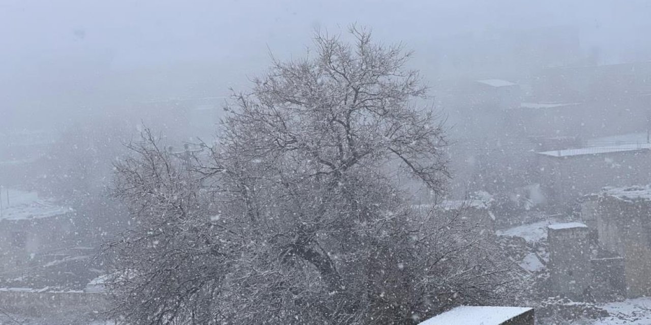 Mardin'de mevsimin ilk karı yağdı