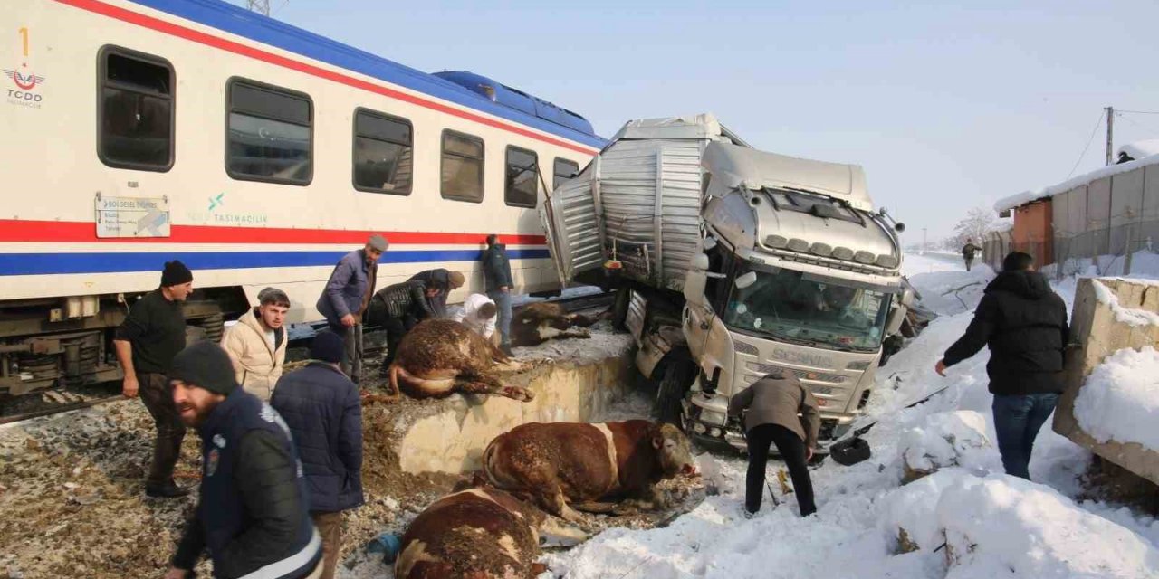 Hayvan yüklü tıra, tren çarptı: 2 kişi öldü