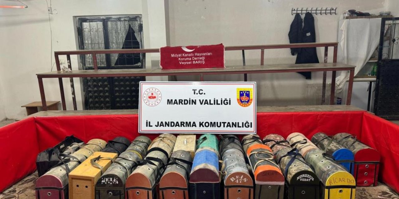 Mardin'de horoz dövüştüren şahıslara 578 bin lira ceza kesildi