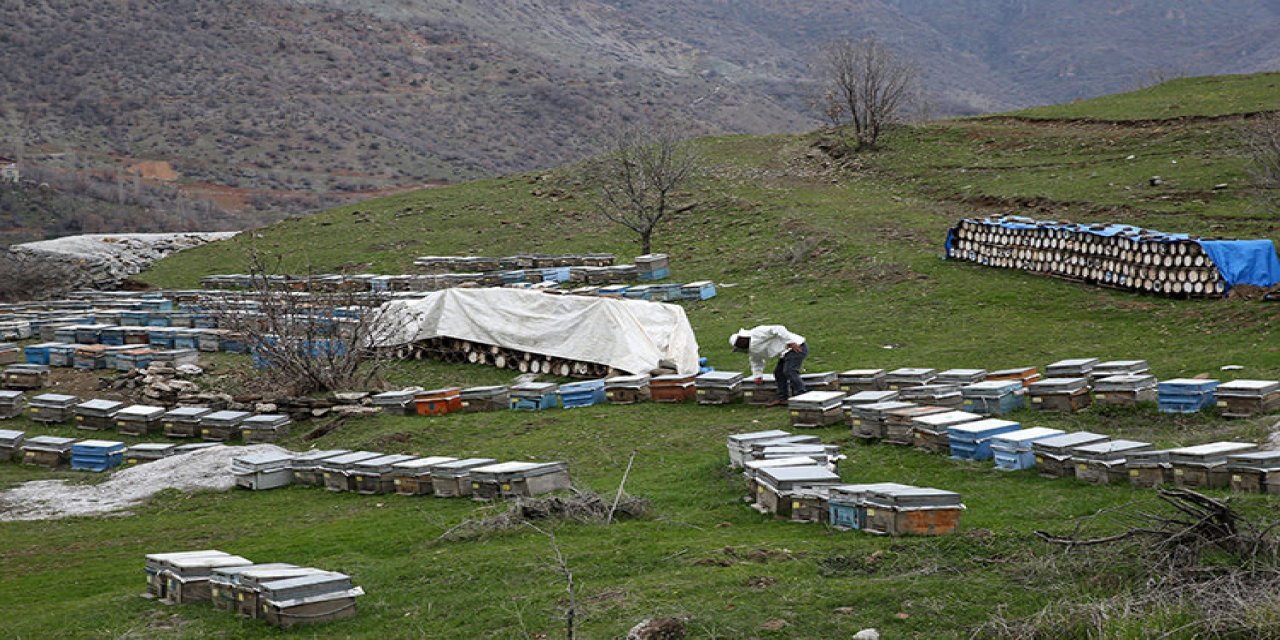 Bitlis Balı, Avrupa’da 45 ülkenin katıldığı yarışmada birinci oldu