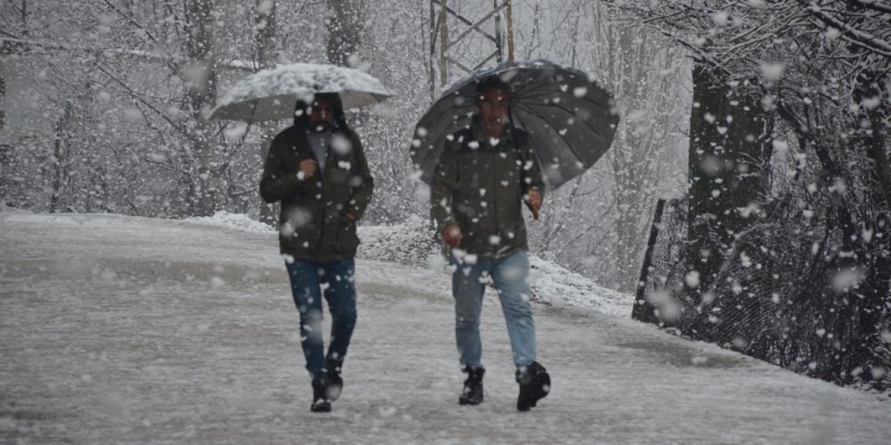 Şırnak'ta lapa lapa kar yağmaya başladı