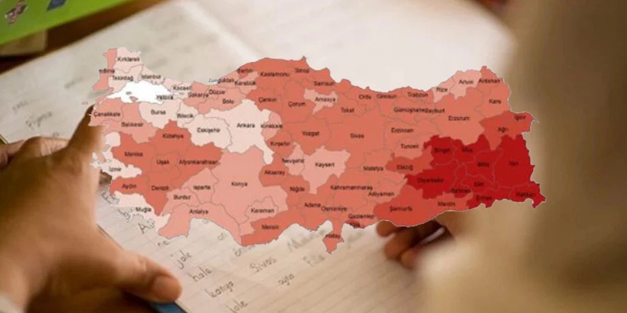 Türkiye'de Okur Yazarlık Haritası Açıklandı! Şırnak, Şanlıurfa, Mardin, Siirt Yine Şaşırtmadı