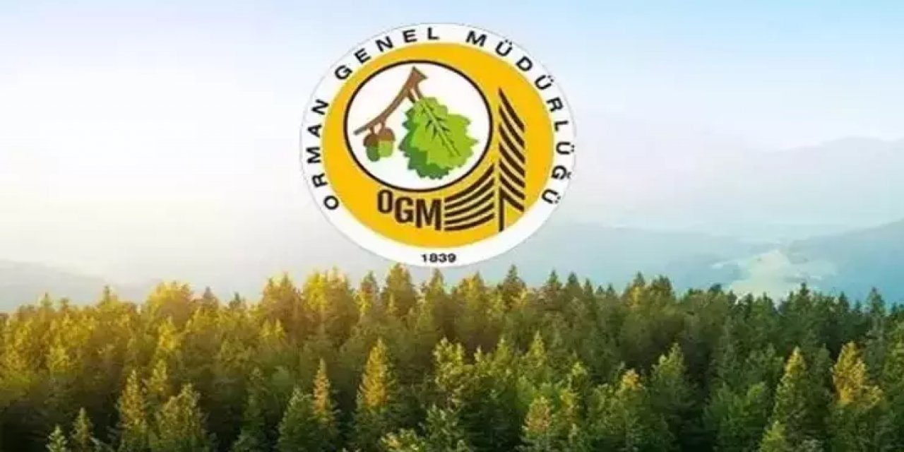 Orman Genel Müdürlüğü 861 Personel Alımı Yapacak: İşte Kontenjan Dağılımı ve Detayları