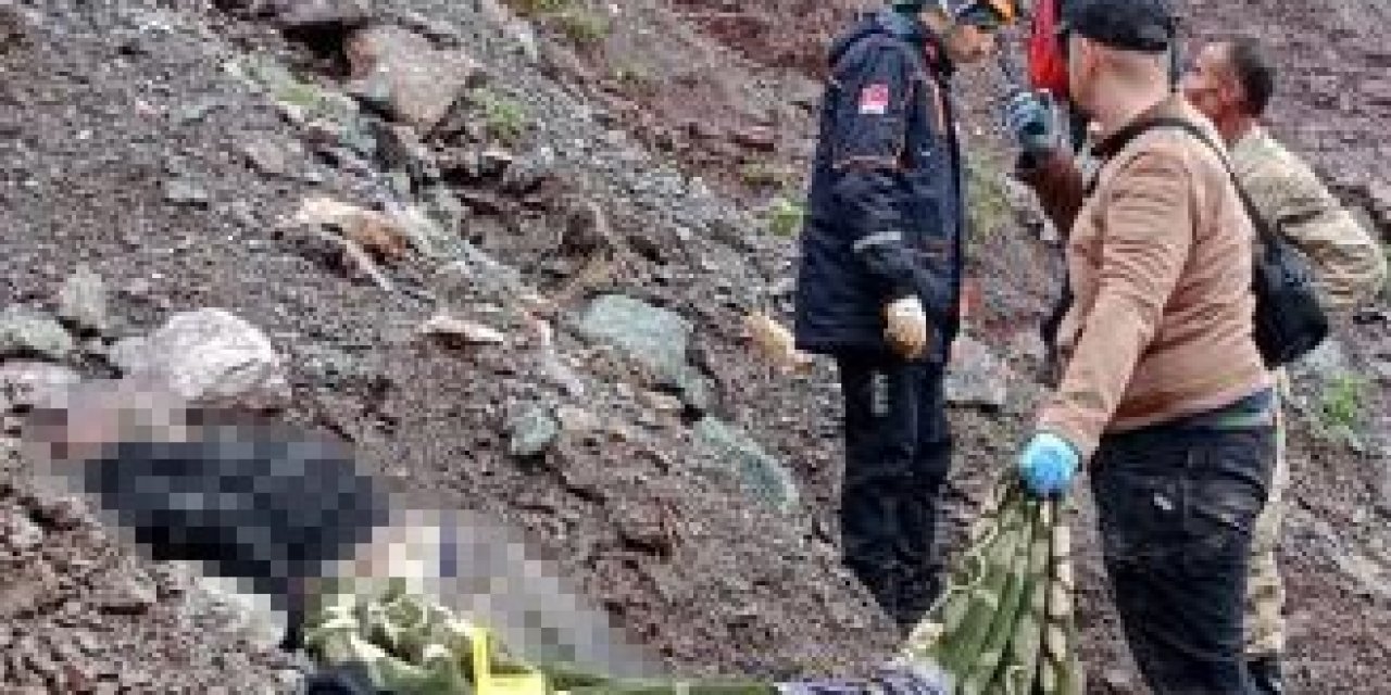 Pancar toplarken 70 metre yüksekliğindeki kayalıklardan düşerek öldü