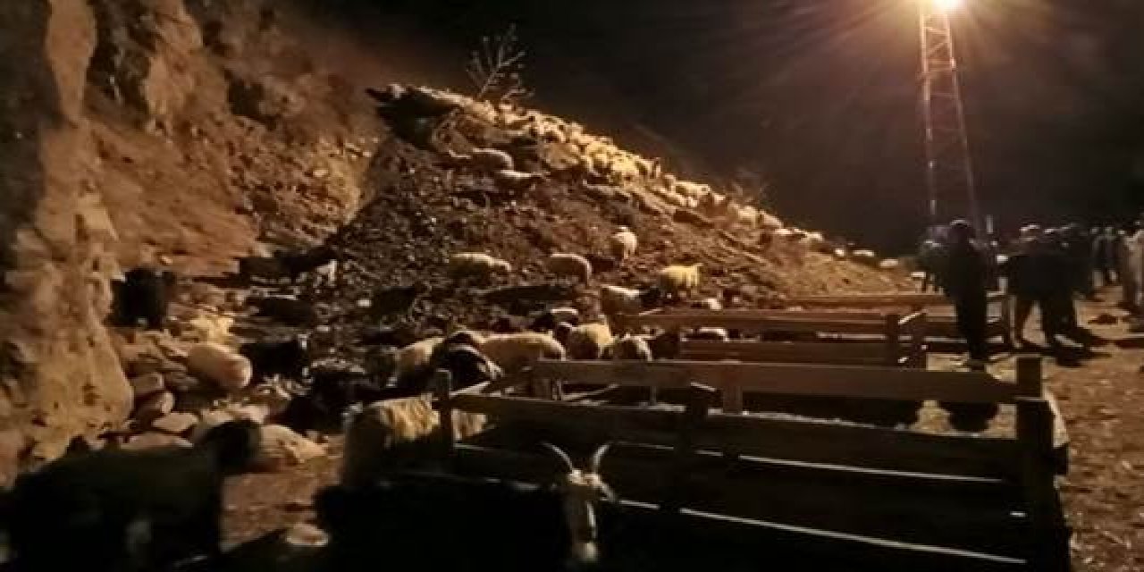 Hakkari'de Heyelan: Çok Sayıda Koyun ve Keçi Toprak Altında Kaldı!