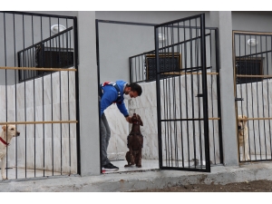 Narkotik dedektör köpeği "Manken" Adıyaman'da jandarmanın en büyük yardımcısı