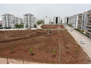 Bağlar Belediyesinden asfalt ve park çalışması