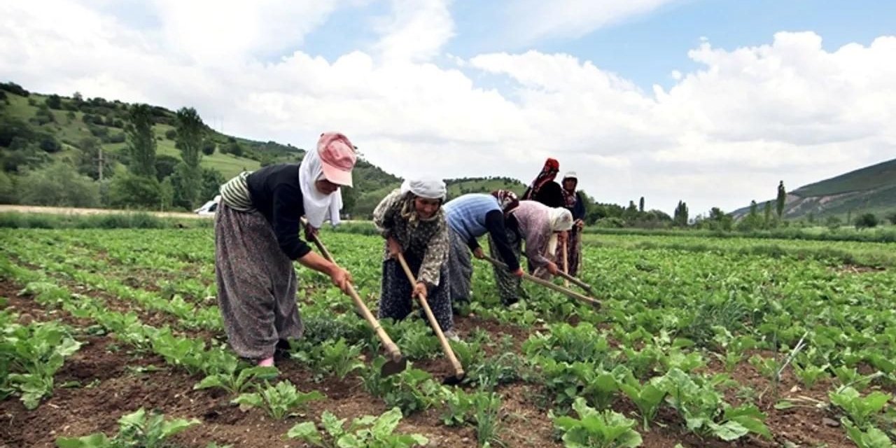 Mevsimlik Tarım İşçilerine Yönelik Yeni Düzenleme Resmi Gazete'de Yayımlandı! İşte Detaylar