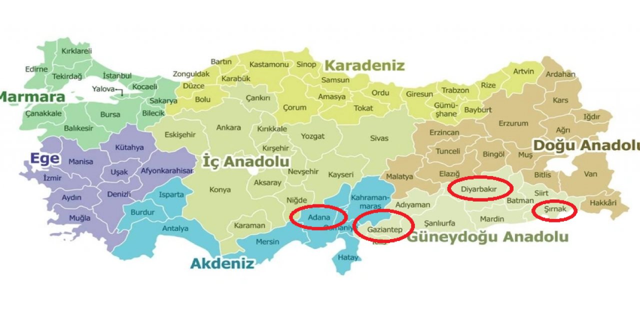 Veriler Açıklandı: Şırnak, Diyarbakır, Gaziantep ve Adana'da Yükselişte