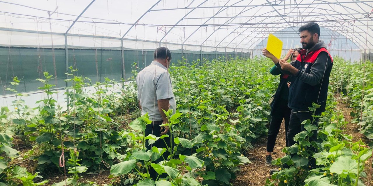 Şırnak’ta Seralar Daha Yeşil: Bitki Sağlığına Yönelik Yeni Adım Atıldı