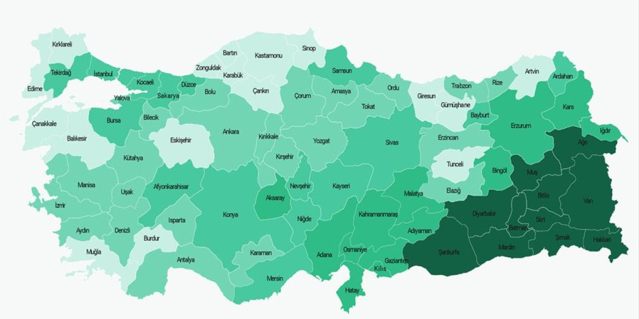 Şırnak Yine Türkiye Tarihindeki Rekoru Kırdı: 81 İl İçerisinden Birinci Oldu!