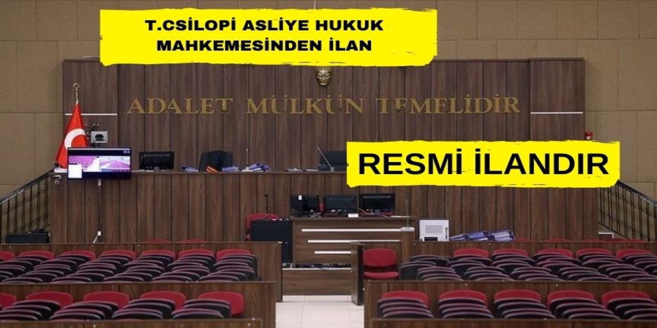 T.C. SİLOPİ 2. ASLİYE HUKUK MAHKEMESİNDEN