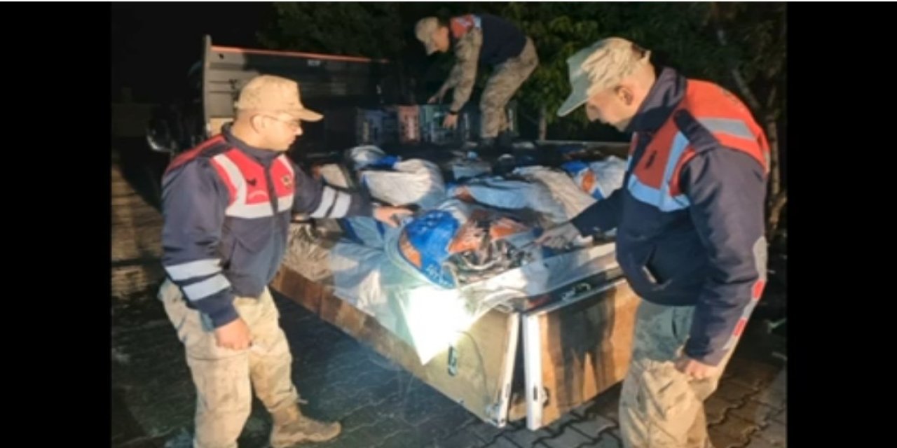 Van’da 16 ton kaçak balık ele geçirildi
