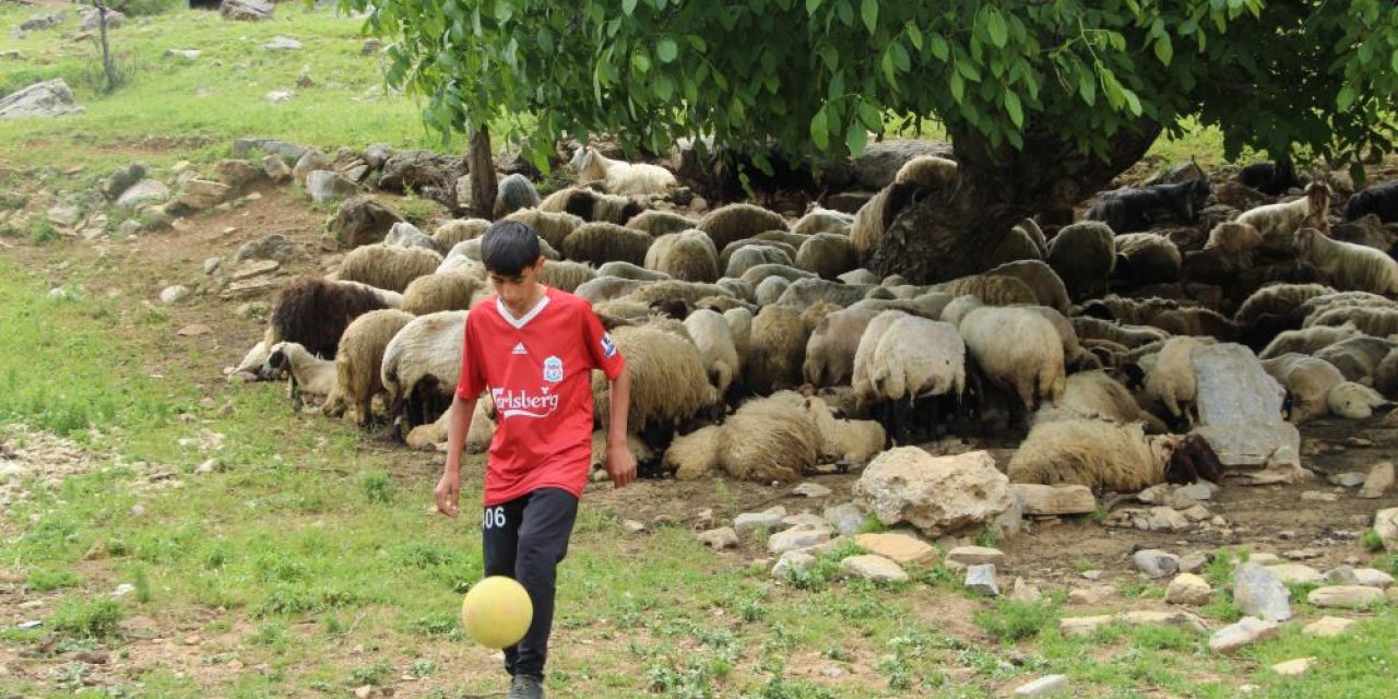 Hayali futbolcu olan ve çobanlık yapan Şırnaklı çocuk keşfedilmeyi bekliyor