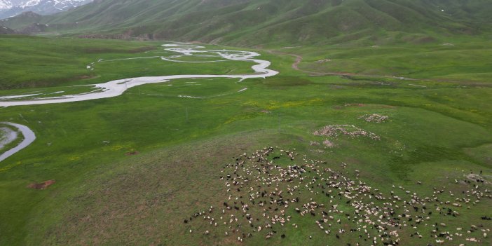 Göçerler Faraşin Yaylası'na Ulaştı! Yeşile Bürünmüş Yaylalarda Beş Ay Geçirecekler