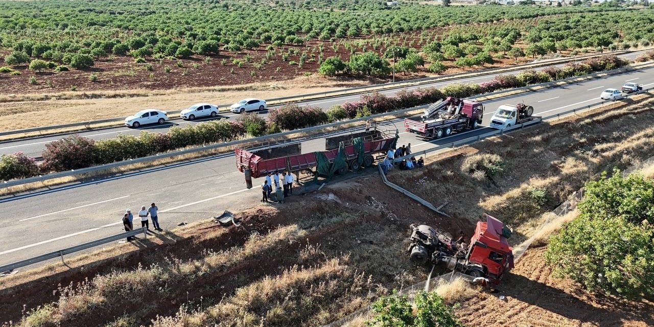 Kurbanlık Boğaları Taşıyan Tır İle Traktör Çarpıştı: 2 Yaralı