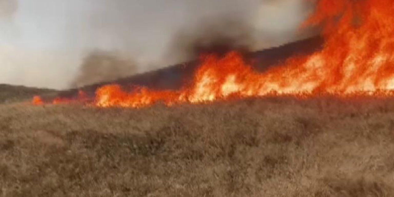 Siirt'te yıldırım düştü! 100 dönüm buğday hasat yapılmadan kül oldu