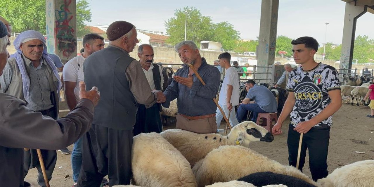 Hayvan Borsası'nda son pazarlıklar yapılıyor