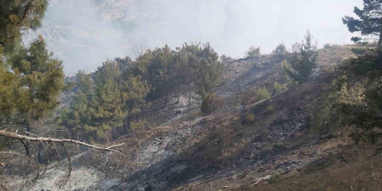 Ormanlık Alanda Çıkan Örtü Yangını Söndürüldü