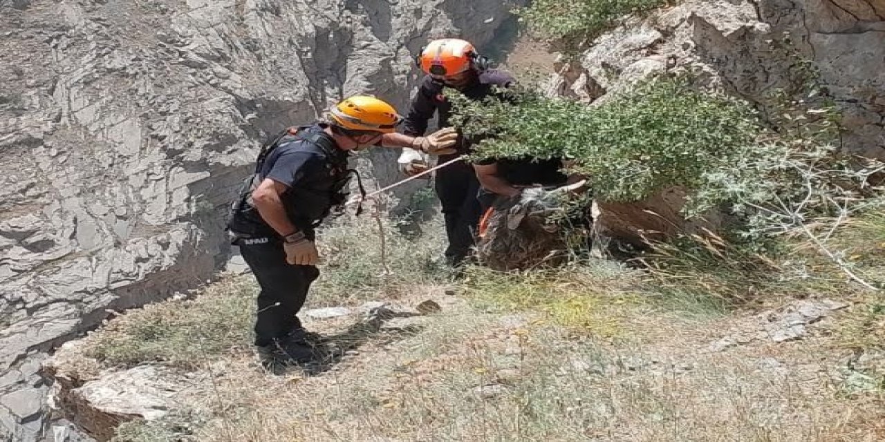 Hakkari'de kurbanlık koyunu AFAD ekipleri kurtardı