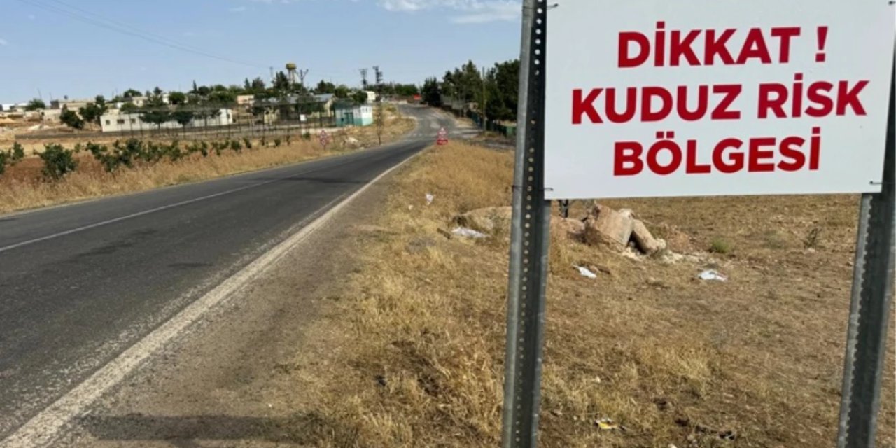 Kuduz vakası: 1 kişi hastaneye kaldırıldı: Mahalle karantinaya alındı