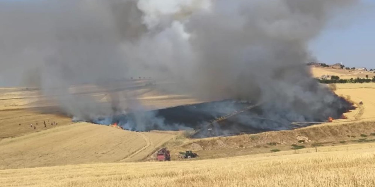 70 dönüm buğday ekili arazi kül oldu, tarla sahibi biçerdöver şoförünü darp etti