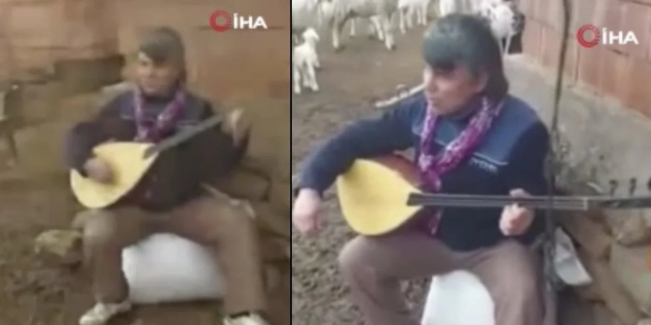 İlginç Görüntüler: Görme engelli çiftçi bağlama çalıyor, koyunları eşlik ediyor!