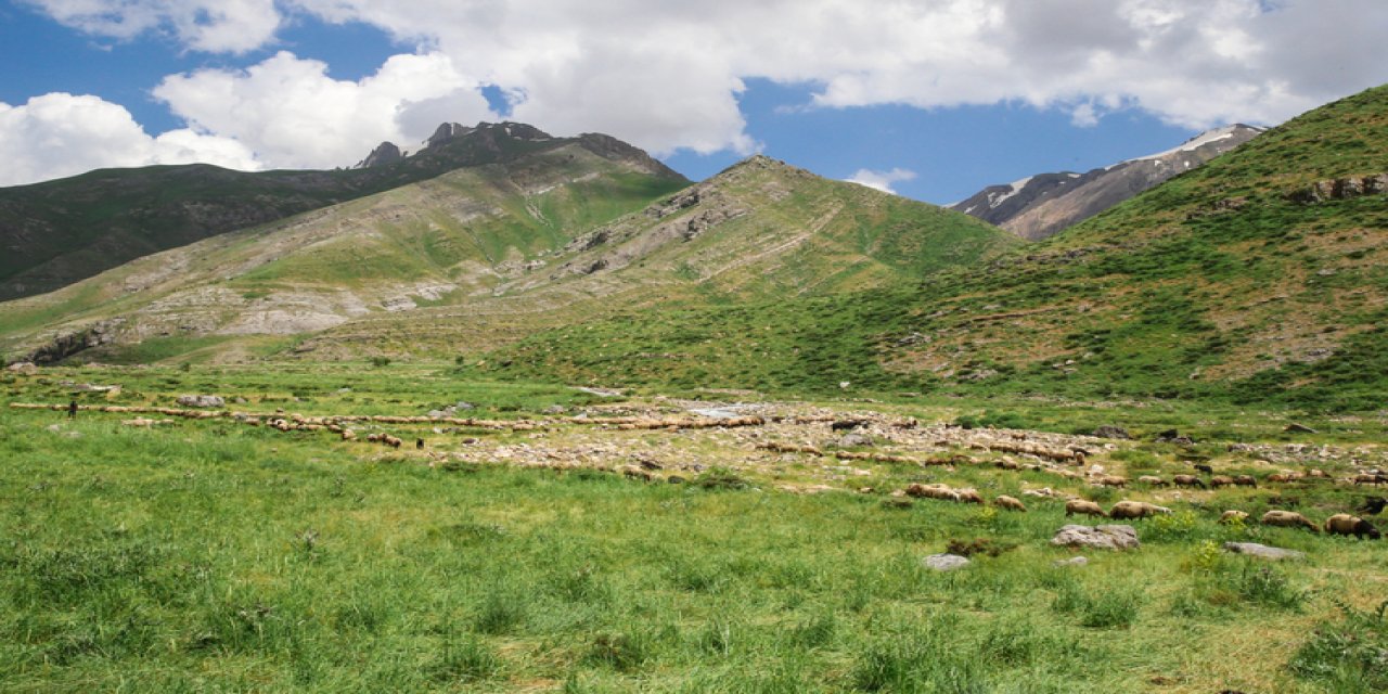 Hakkari Han Yaylası: Şırnaklı Göçerlerin Yeni Gözdesi