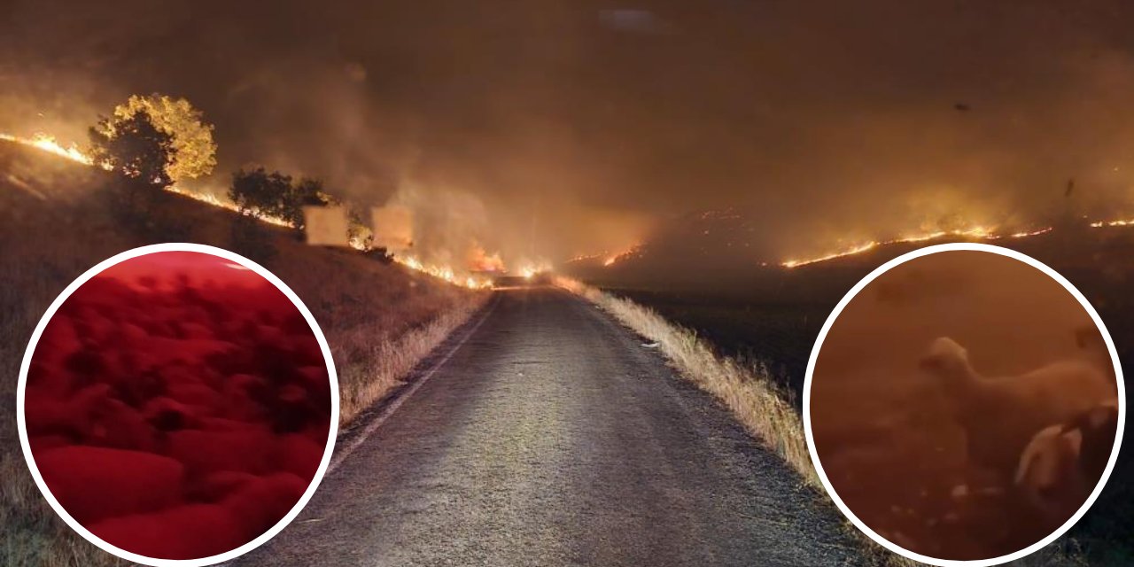 15 kişinin öldüğü yangın gecesine ait yeni görüntüler ortaya çıktı: İşte o dehşet anlar