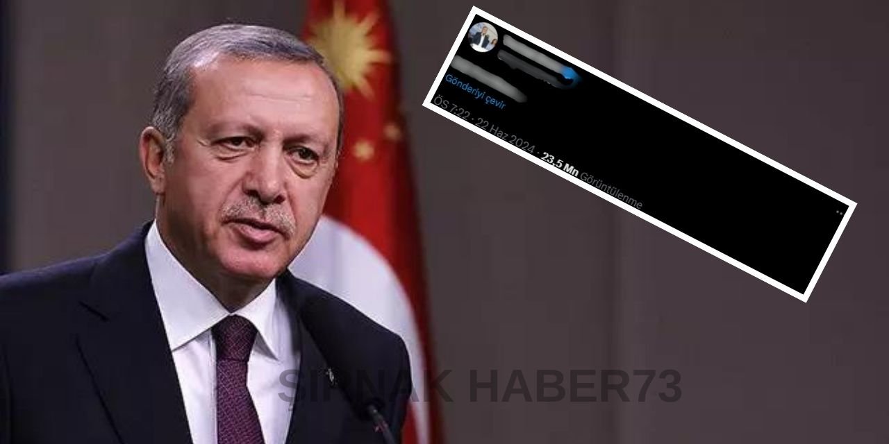 Eski Şırnak Milletvekilinin Paylaşımı Cumhurbaşkanı Erdoğan'ı Küplere Bindirdi