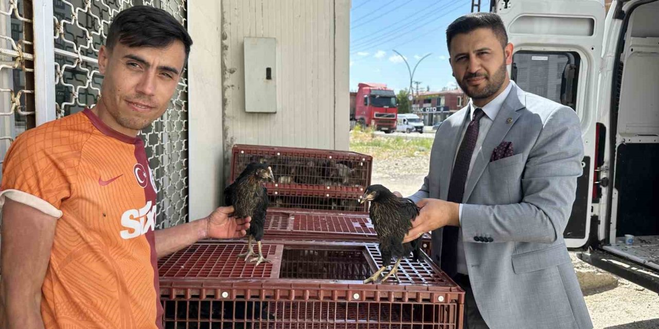 Hakkari'de 5 bin kanatlı hayvan dağıtıldı