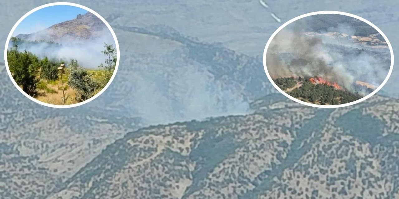 Şırnak’ta orman yangını: Ekipler ve köylüler seferber oldu