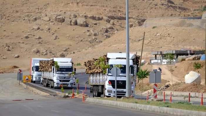 Şırnak’ta Her Gün Yüzlerce Ağaç Kesiliyor