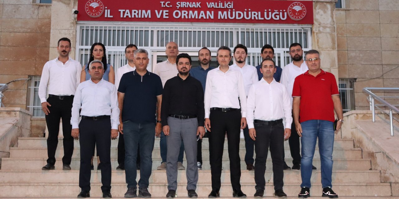 Tarım ve Orman Bakanlığı, Şırnak'ta Hayvan Hareketlerini ve Hastalıklarını Kontrol Altına Alıyor