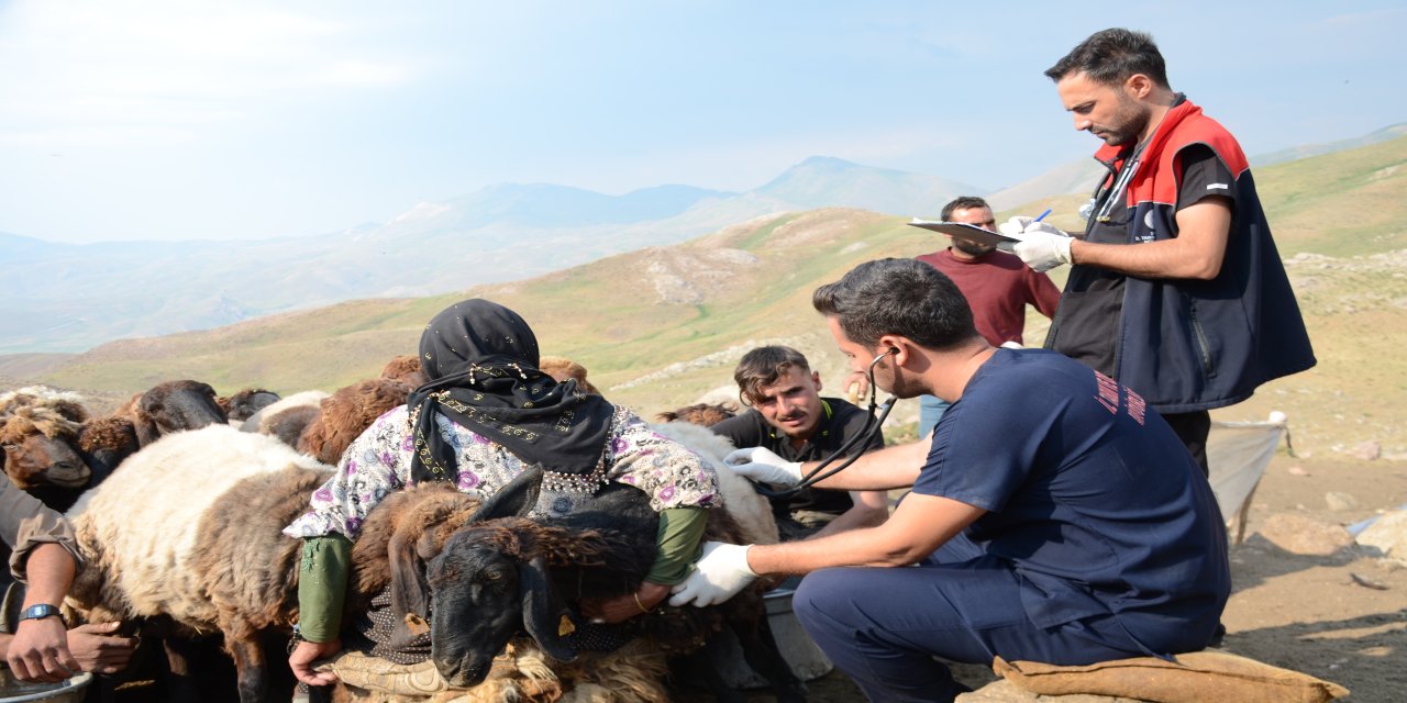 Veteriner hekimlerden Faraşin Yaylası'ndaki 400 bin küçükbaş hayvana sağlık hizmeti