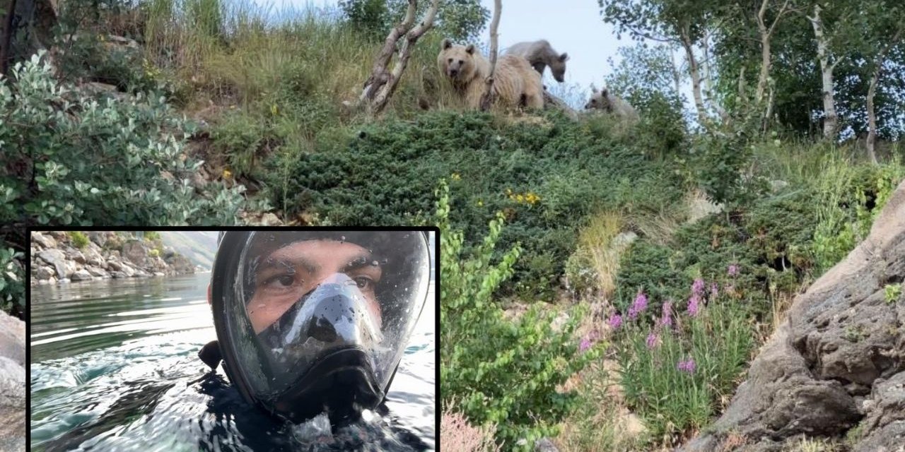 Bitlis’te göle giren akademisyen ayılarla karşılaştı