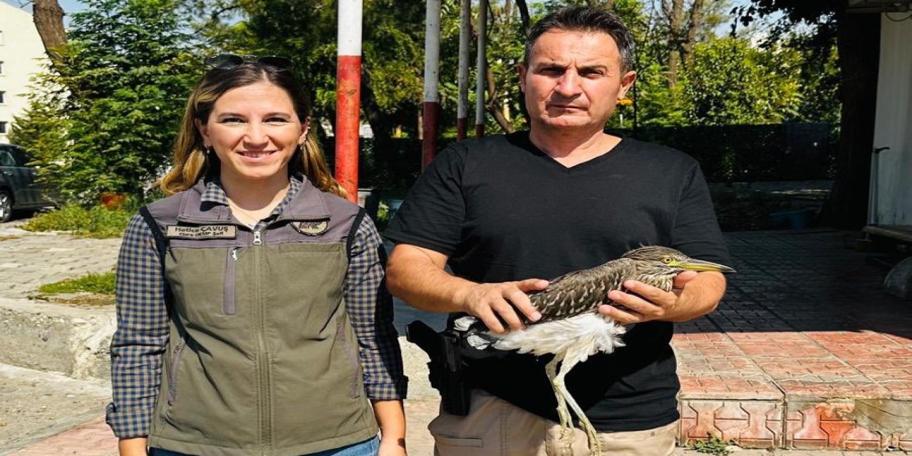 Şırnak’ta Yaralı Gece Balıkçılı Tedavi Altına Alındı