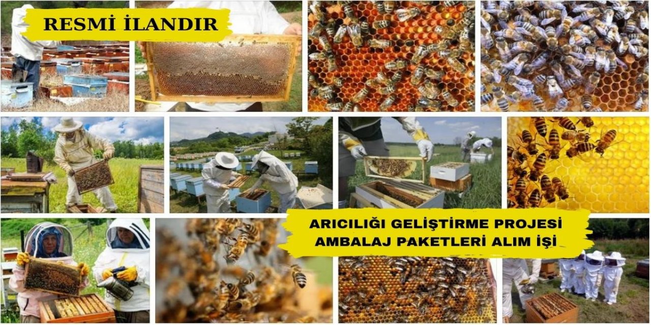 ARICILIĞI GELİŞTİRME PROJESİ AMBALAJ PAKETLERİ ALIM İŞİ