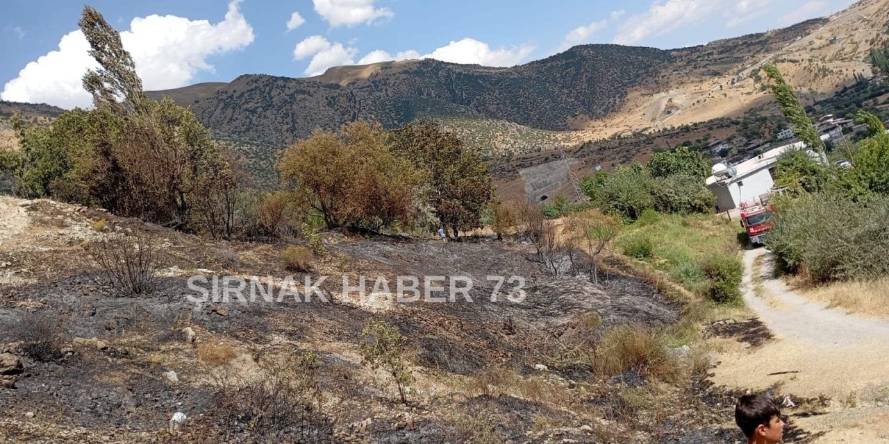 Uludere’de Orman Yangını