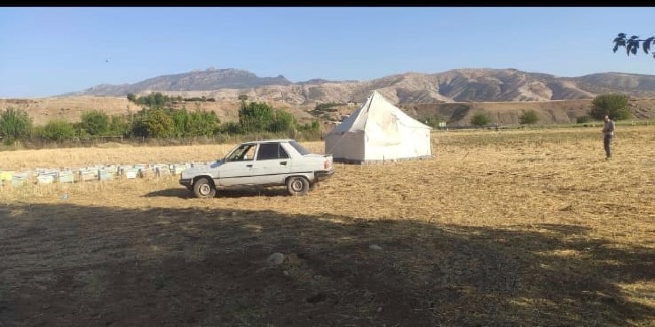 AFAD'dan Aldığı Çadır Kurma Eğitimiyle Yaylada Yeteneğini Konuşturdu