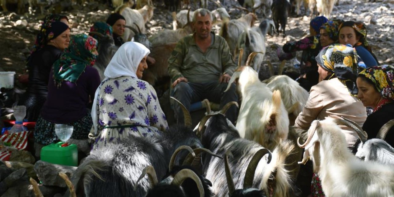 Şırnak'ta Berivanlar son demlerini yaşıyor