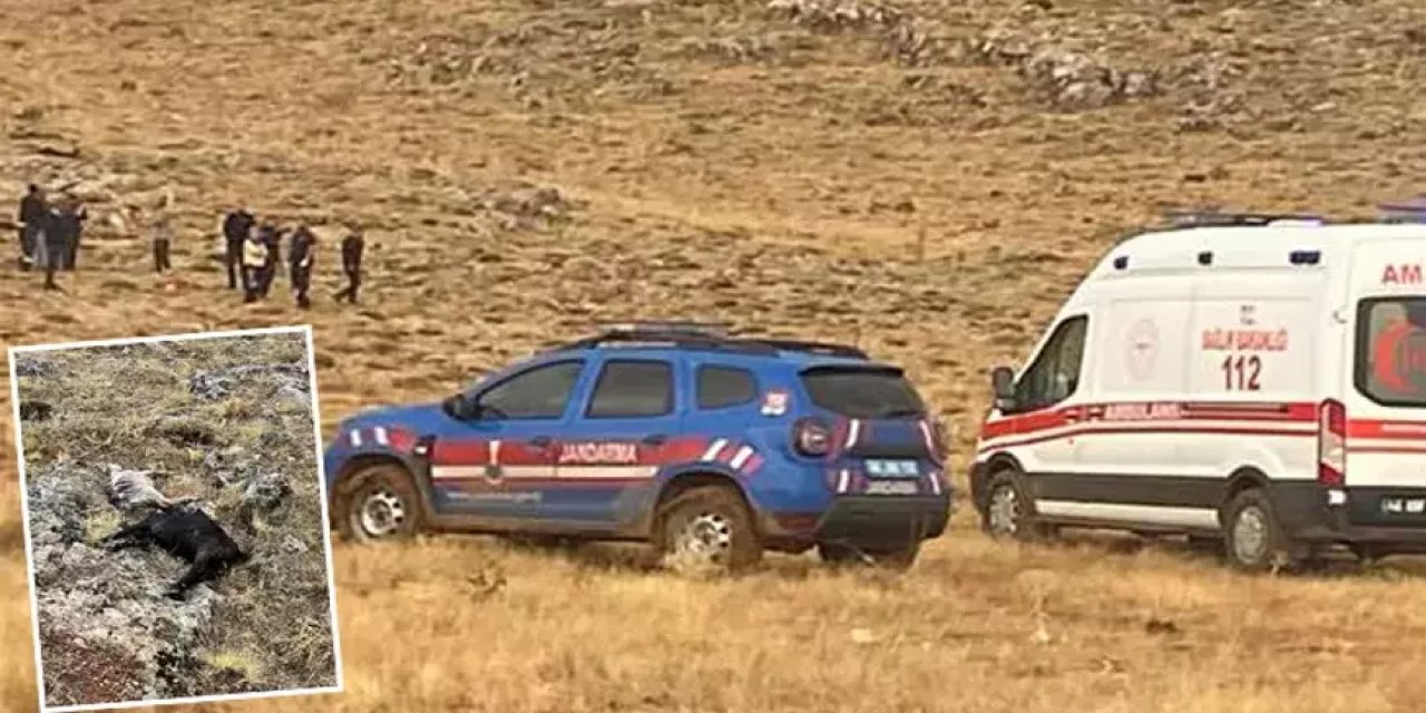 Yıldırım düştü! Hayvanlarını otlatan çoban hayatını kaybetti