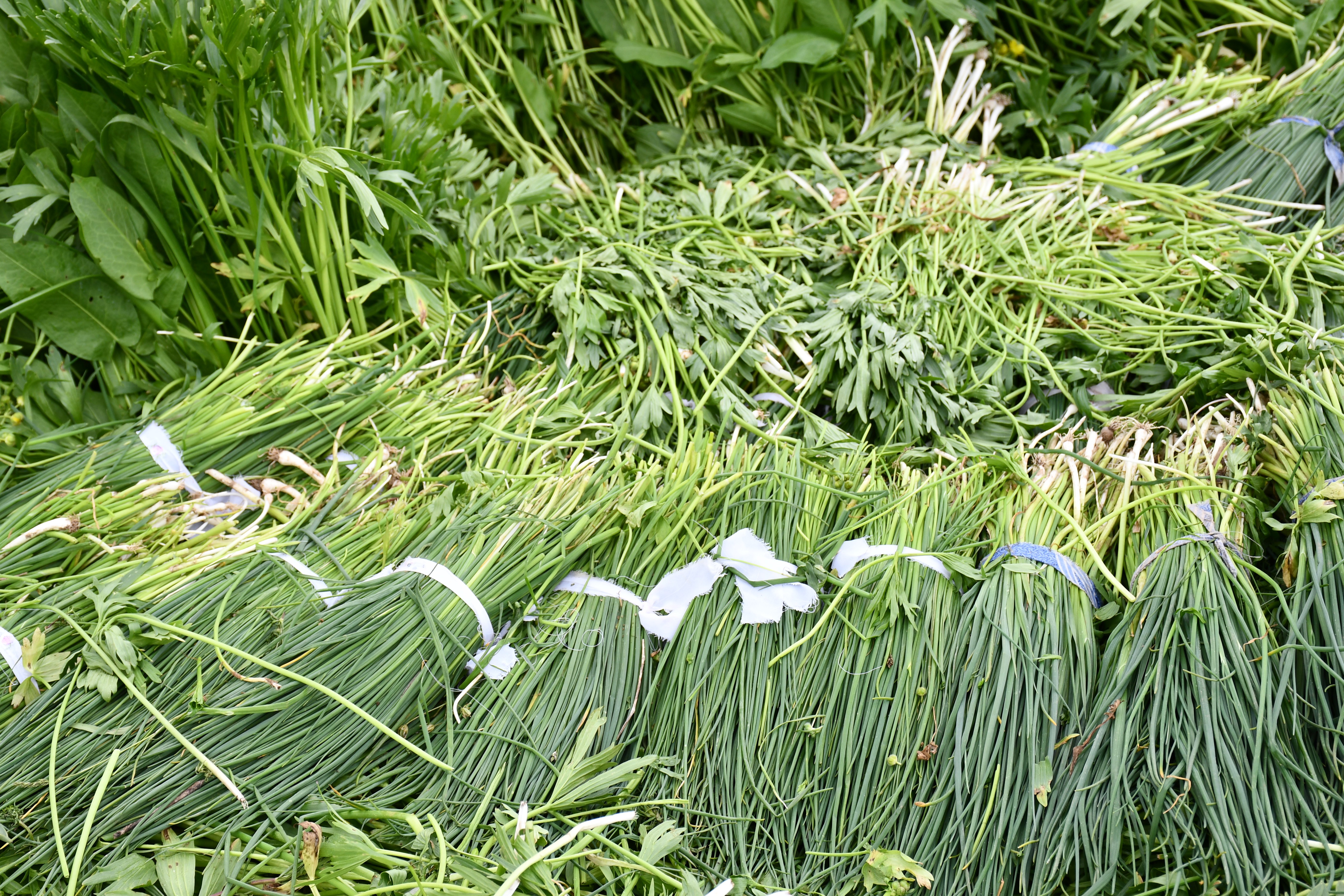 Yaylalarda yetişen bitkiler vatandaşlara ekmek kapısı oldu