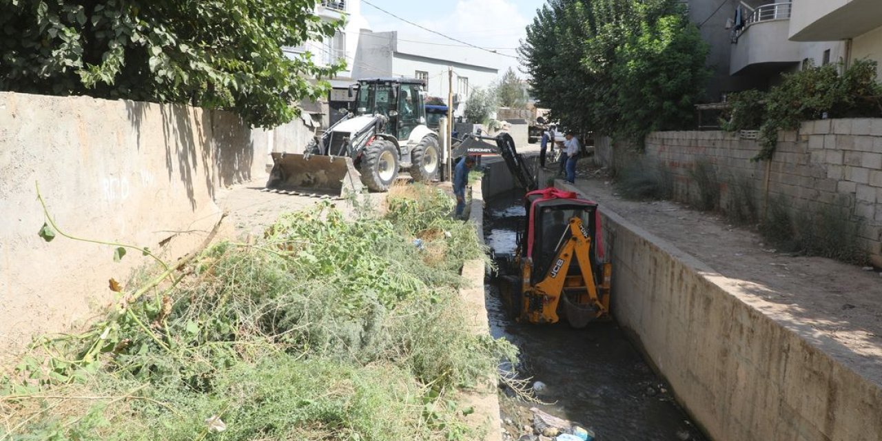 Cizre'de Sel Kabusu Bitti mi? ️ Cizre Belediyesi Harekete Geçti