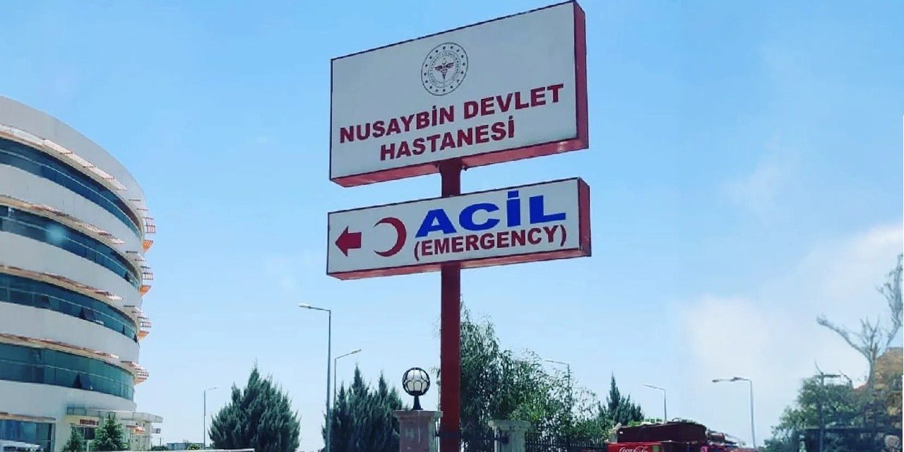 Nusaybin'de yıldırım düşmesi sonucu bir kadın hayatını kaybetti