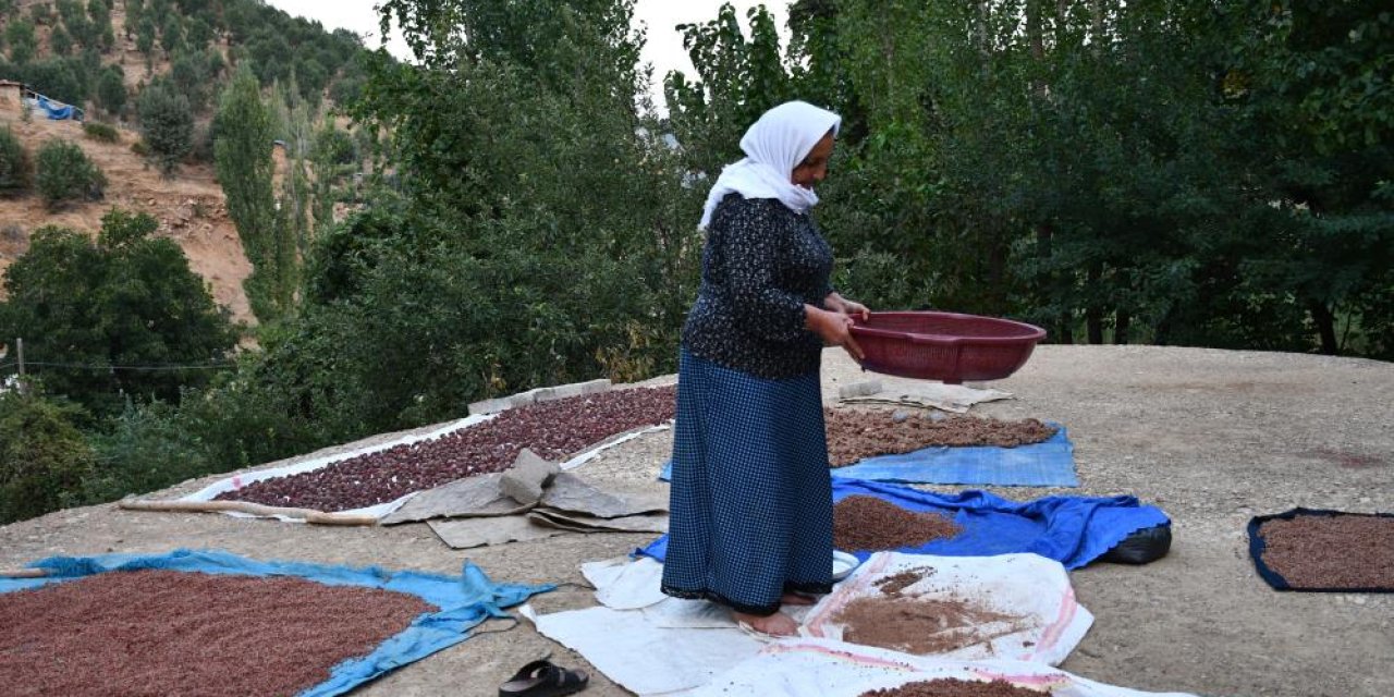 Şırnaklı aile sumak satarak geçimini sağlıyor