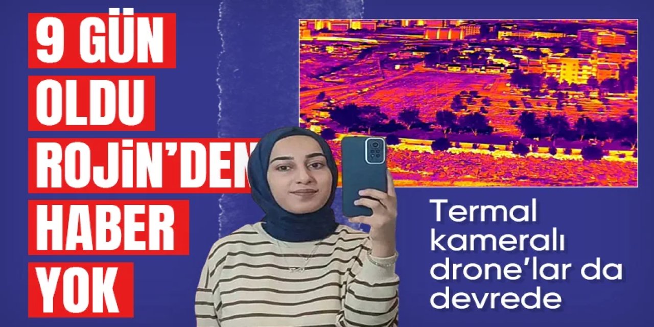 Van'da kaybolan Rojin'den hala haber yok: Termal kameralar ile aranıyor